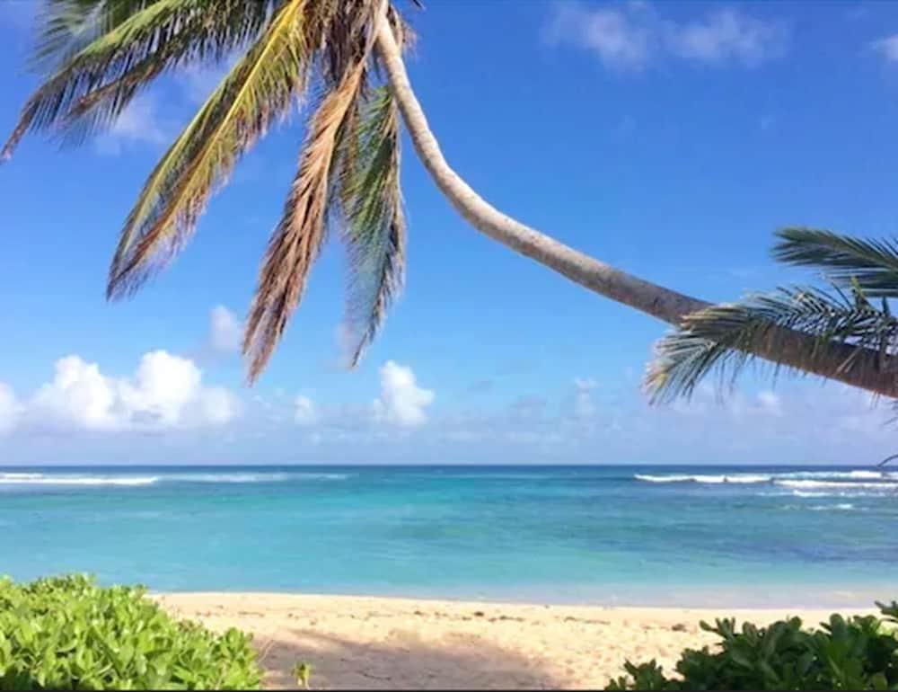 The Palms At Pelican Cove (Adults Only) La Grande Princesse Bagian luar foto